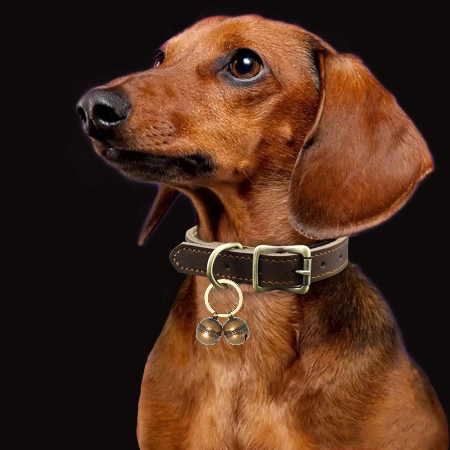 Grelots chien BENEPAWSâą