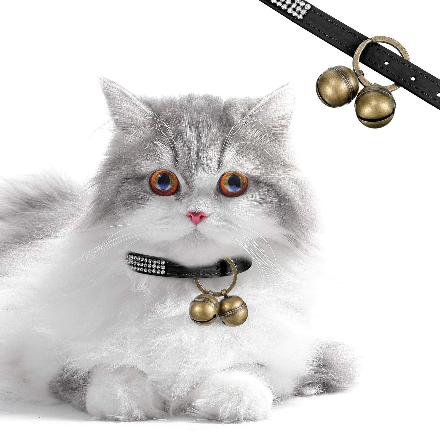 Grelots chien BENEPAWSâą