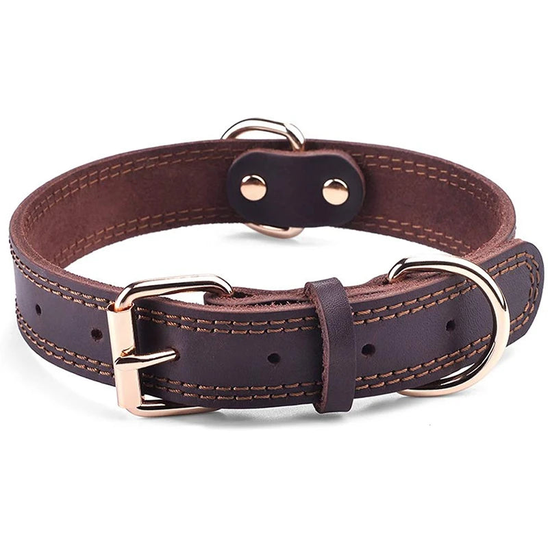 Collier chien MATEOM™ | cuir double anneau D