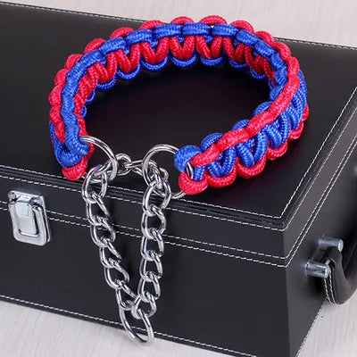 Collier chien HALUKâą | chaine P