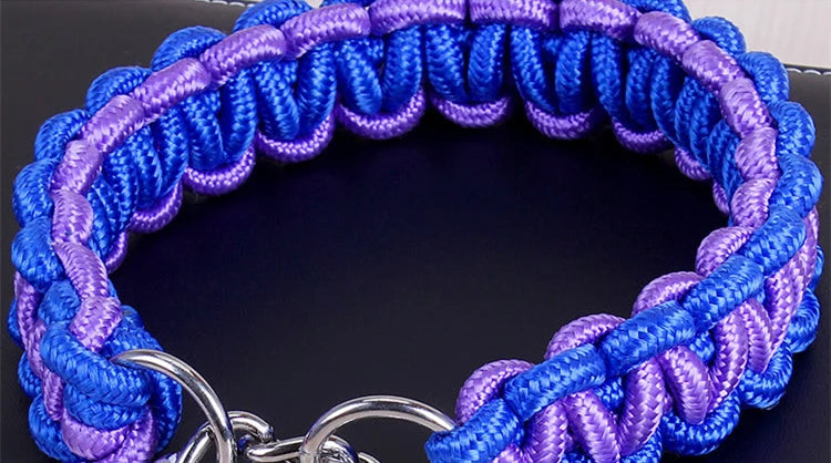 Collier chien HALUKâą | chaine P