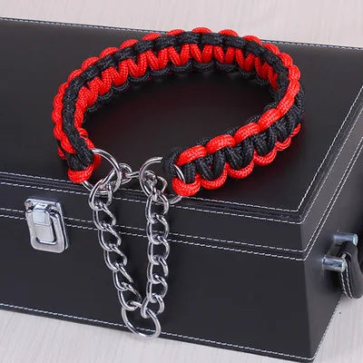 Collier chien HALUKâą | chaine P