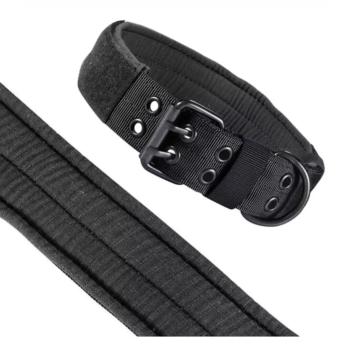 Collier pour chien GUERRAM™ | robuste nylon