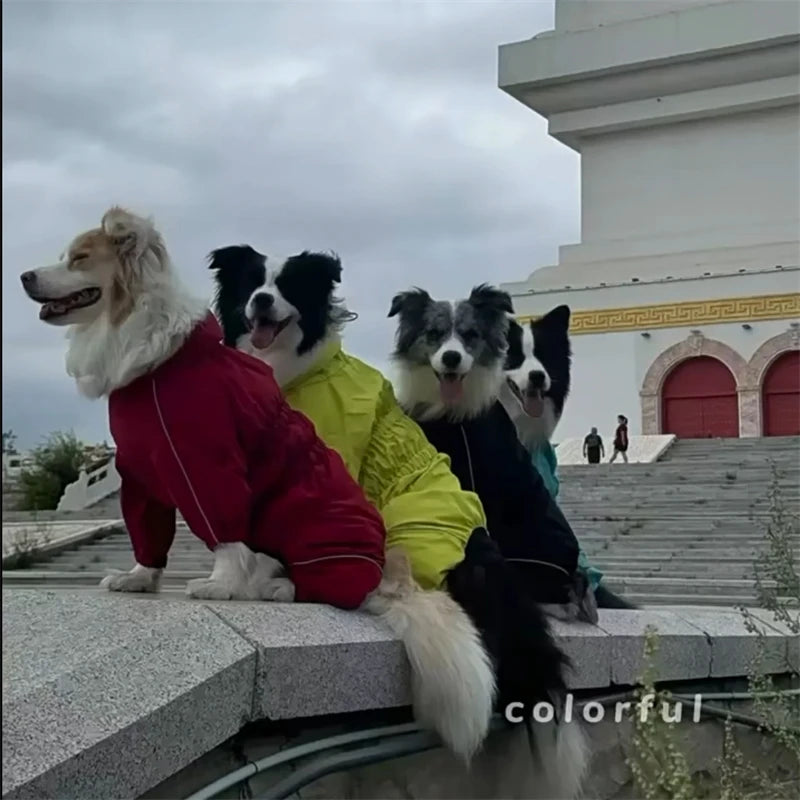 Manteau pour chien BENETOS⹠| imperméable
