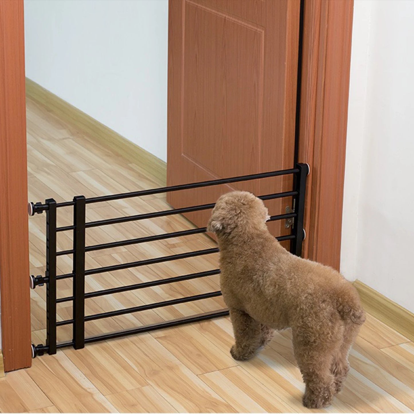 Barrière chien LEZITO™