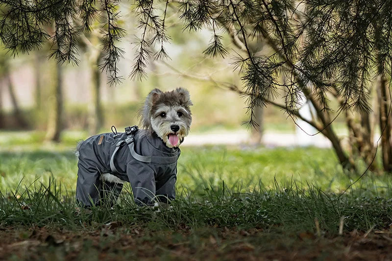 Imperméable pour chien HALUK™ | manteau de pluie avec harnais