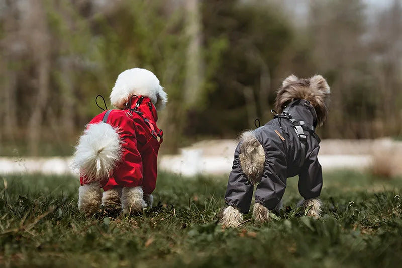 Imperméable pour chien HALUK™ | manteau de pluie avec harnais
