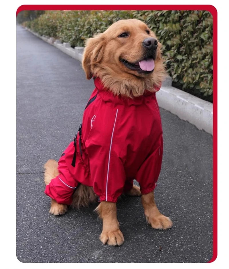 Manteau pour chien BENETOS⹠| imperméable
