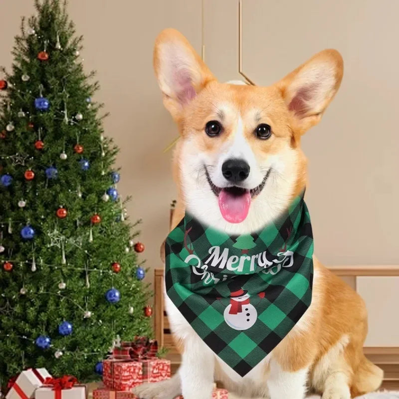 Foulard pour chien | LOVATO™