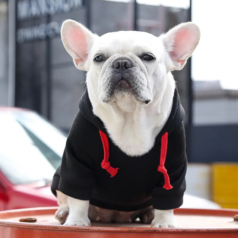 Sweat Ă capuche chien MEGHâą | pull chandail
