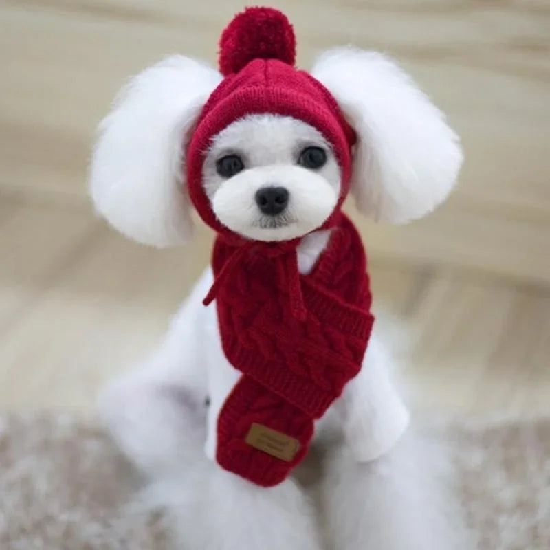 Bonnet pour chien TEDDY | chapeau chien