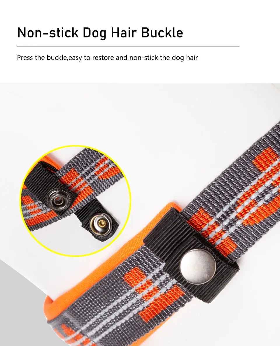 Collier chien WINHYE™ | nylon anti traction