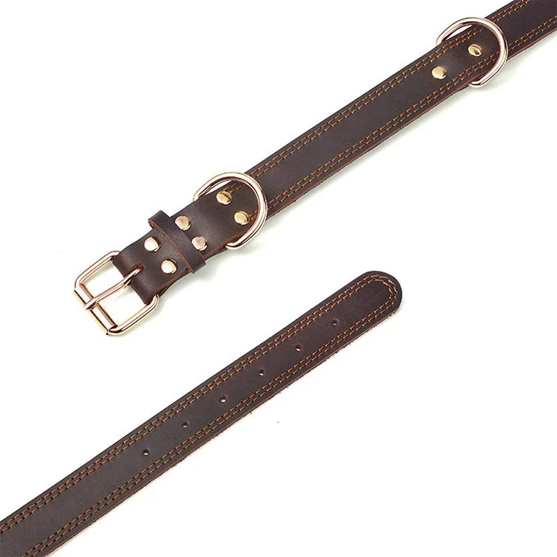 Collier chien MATEOM™ | cuir double anneau D