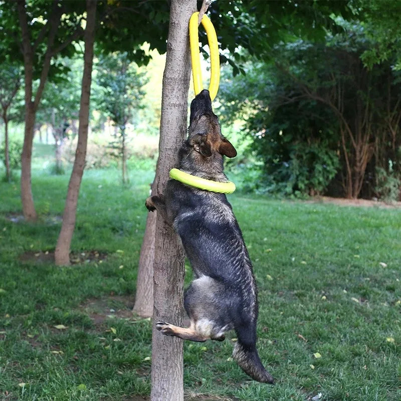 Disque volant pour chien CORGI™ | jouet caoutchouc