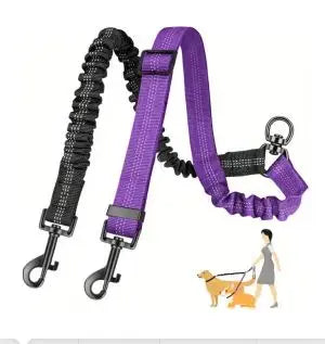 Laisse double pour chien GINJO™ | réglable bungee