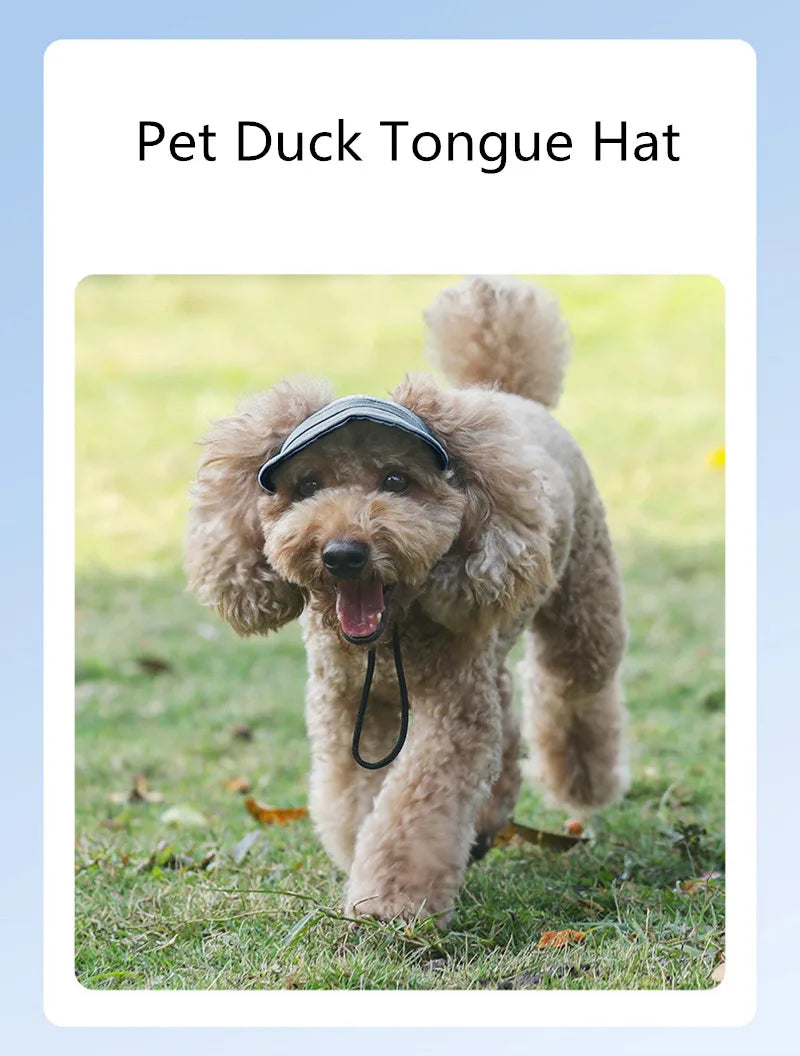 Casquette pour chien KELSON™ | casquette pour maître