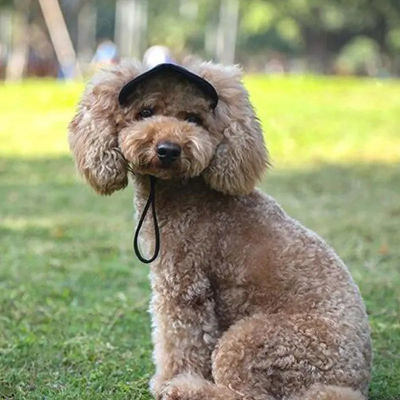 Casquette pour chien KELSON™ | casquette pour maître
