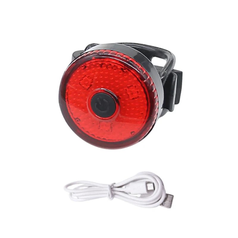 Pendentif lumineux LED pour chien SERGAR™