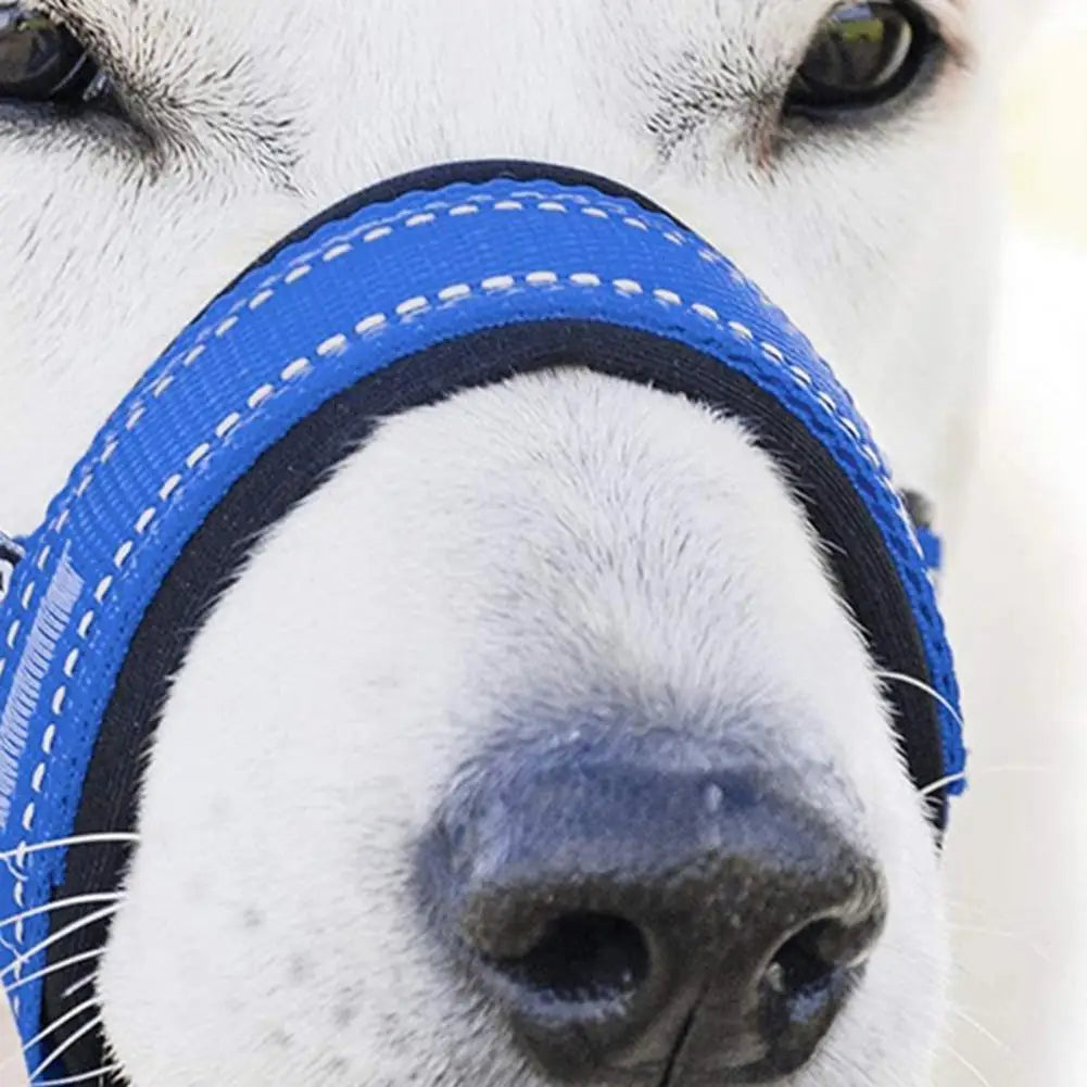 Collier dressage chien SERGAR™ | licou