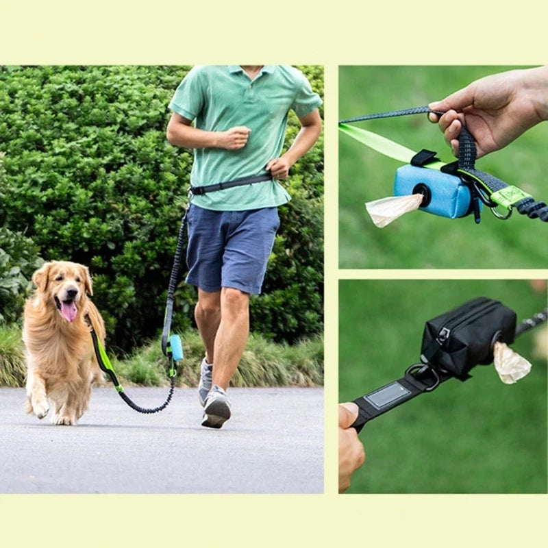 Distributeur de sacs à crottes chien BOLA™ | distributeur de sacs à déjections canines