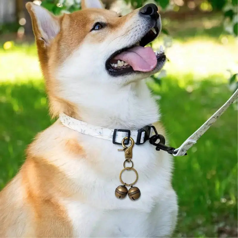 Clochettes pour chien RAMENâą | grelots