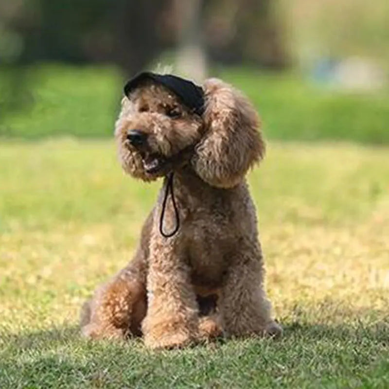 Casquette pour chien KELSON™ | casquette pour maître