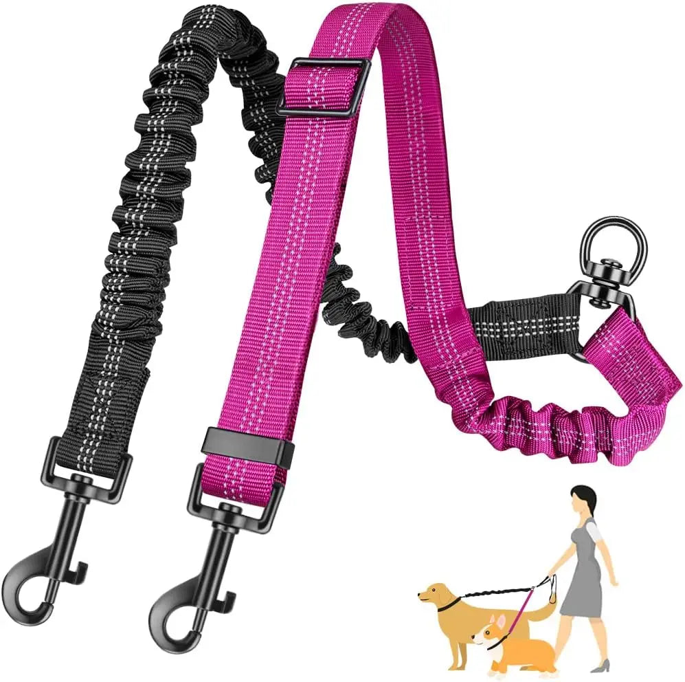 Laisse double pour chien GINJO™ | réglable bungee