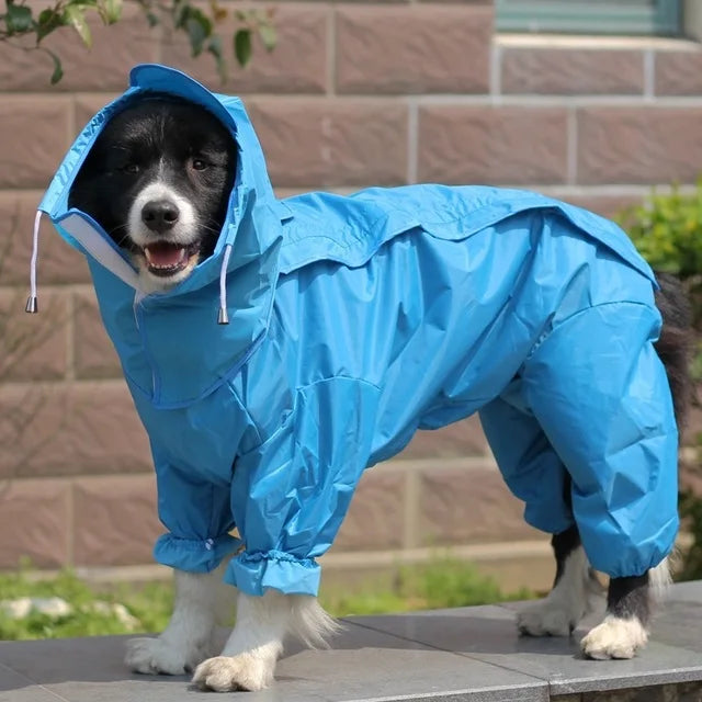 Manteau de pluie pour chien SANCHEZ™ | imperméable