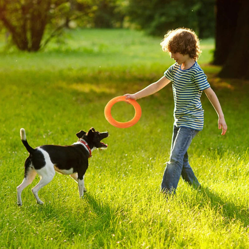 Disque volant pour chien CORGI™ | jouet caoutchouc