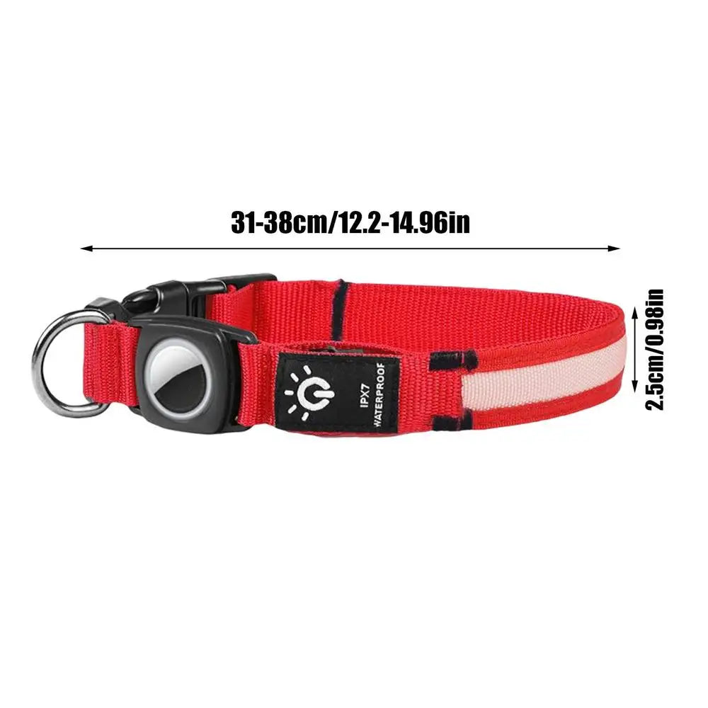 Collier lumineux chien BOLA™ | USB rechargeable Air tag