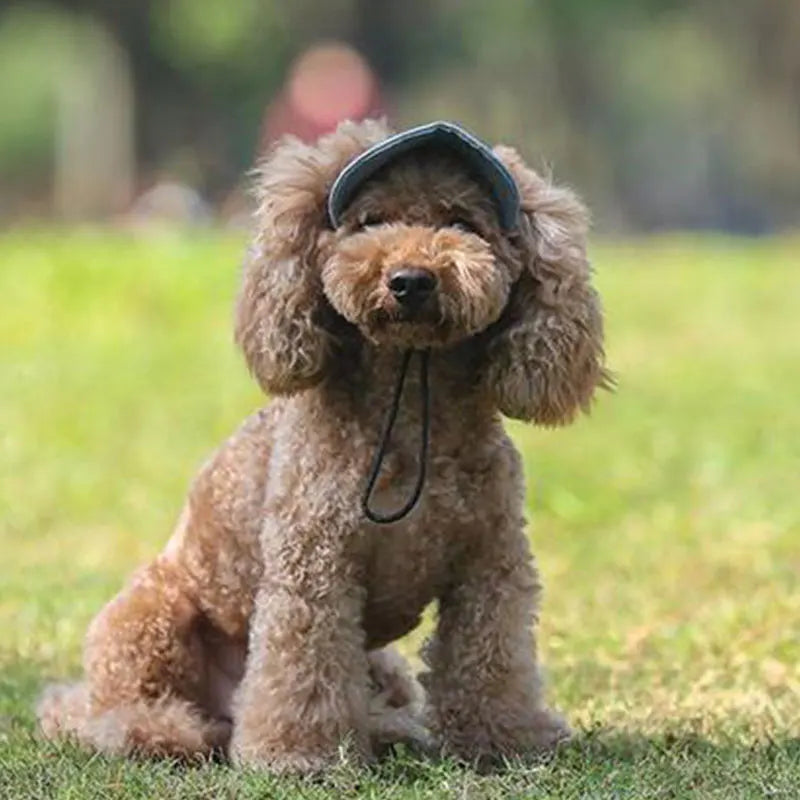 Casquette pour chien KELSON™ | casquette pour maître