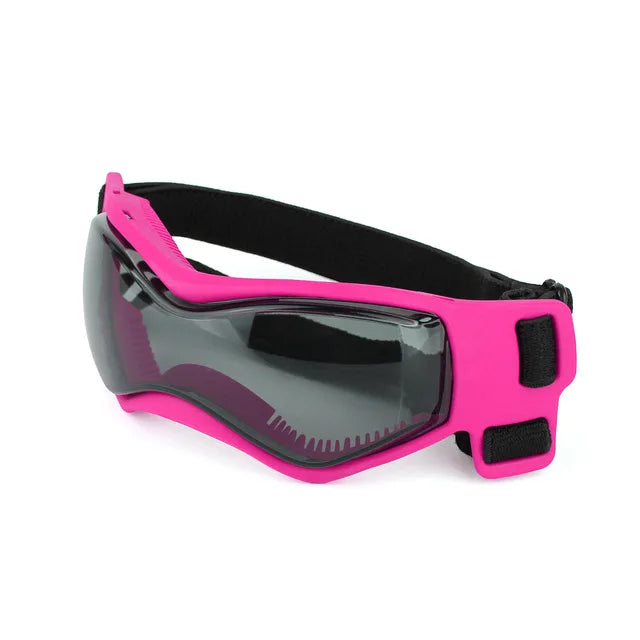 Lunettes soleil chien BENETOSâą
