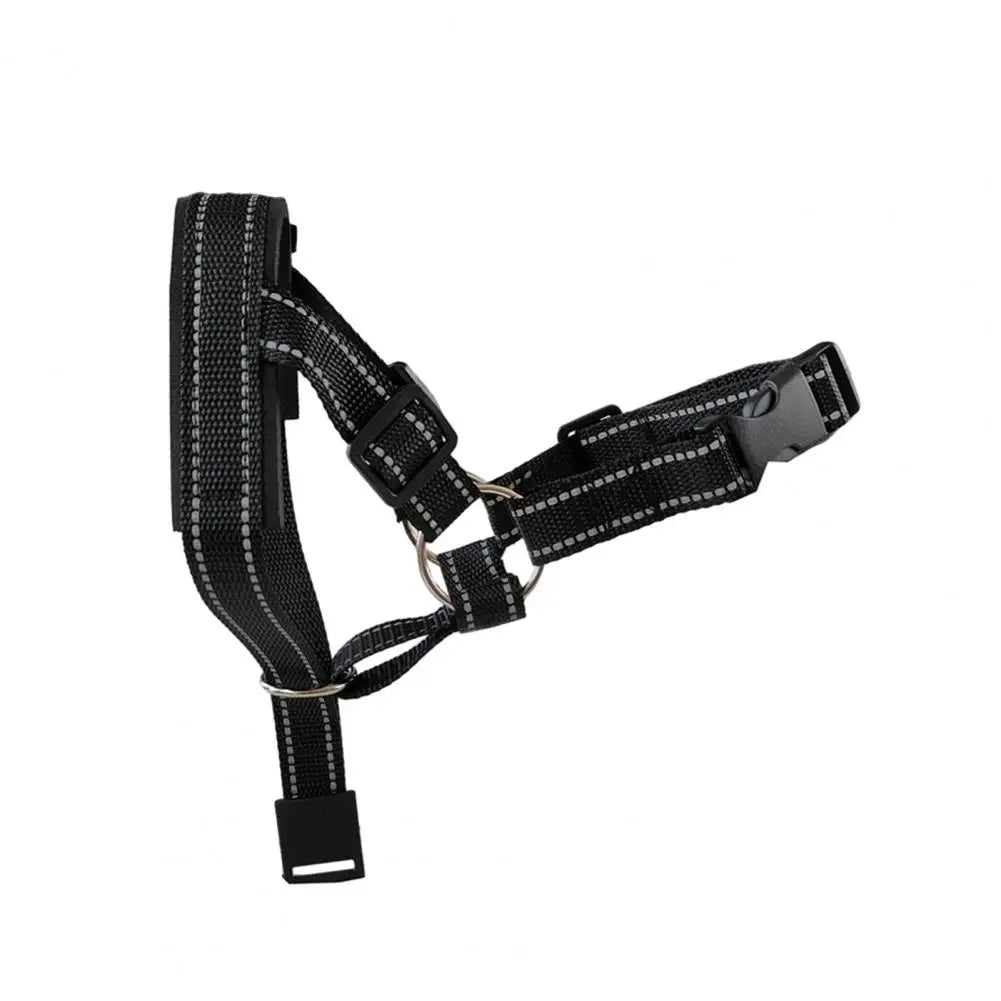 Collier dressage chien SERGAR™ | licou
