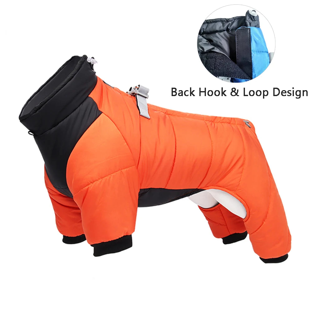 Manteau pour chien GOOZO™ | doudoune hiver