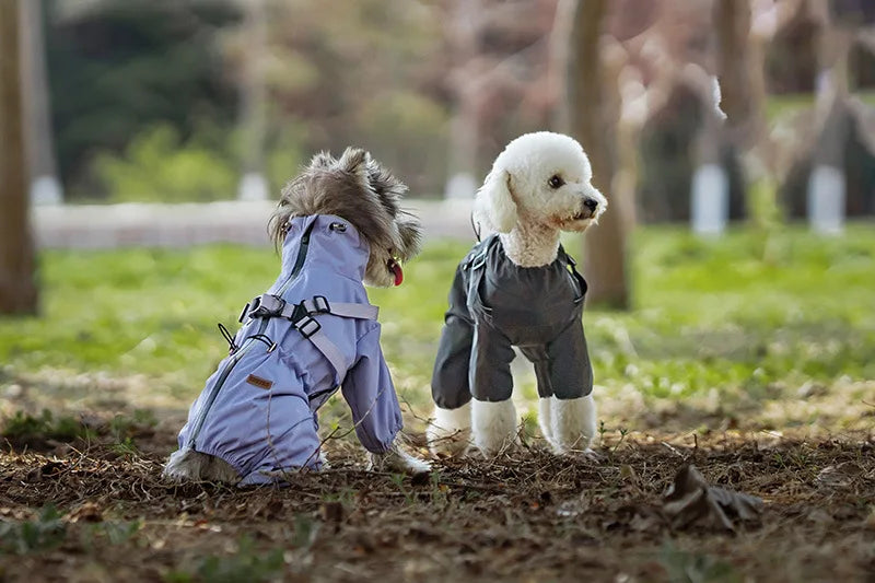 Imperméable pour chien HALUK™ | manteau de pluie avec harnais