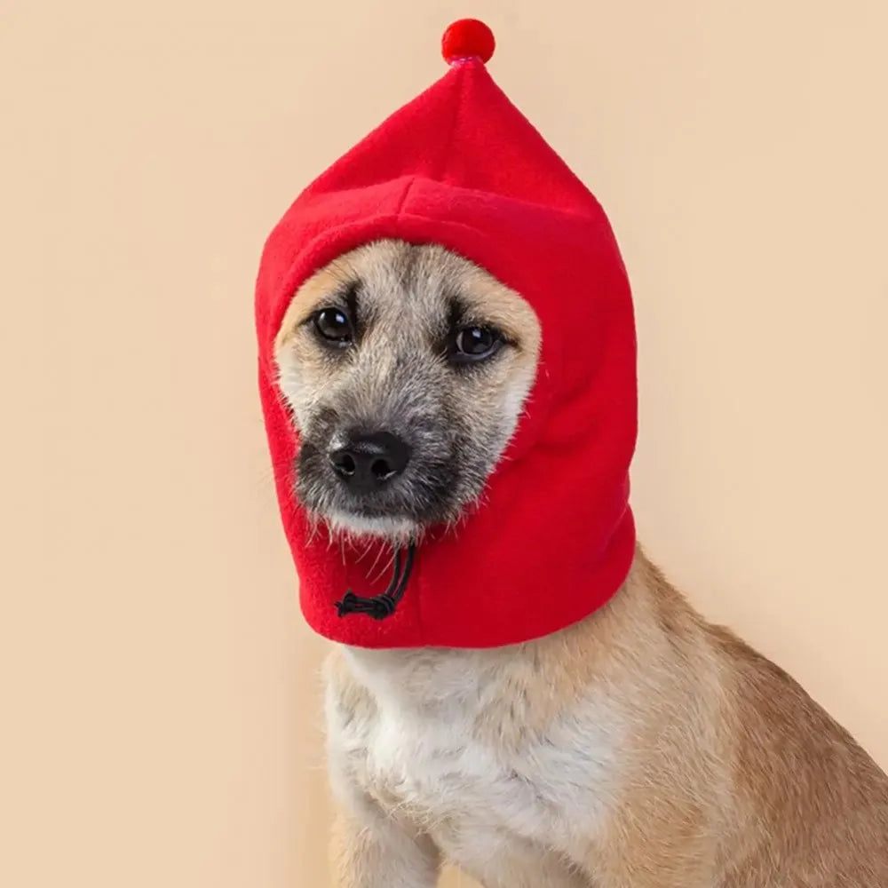 Bonnet pour chien LUPO™ | chapeau polaire
