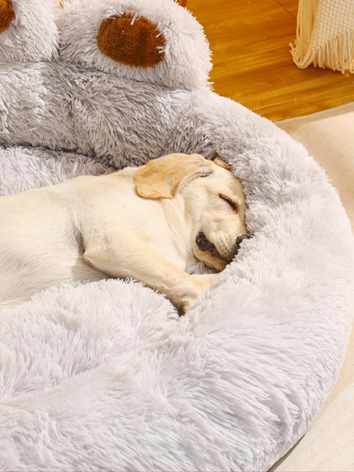 Canapé pour chien TEDDY™ | lit pour chien