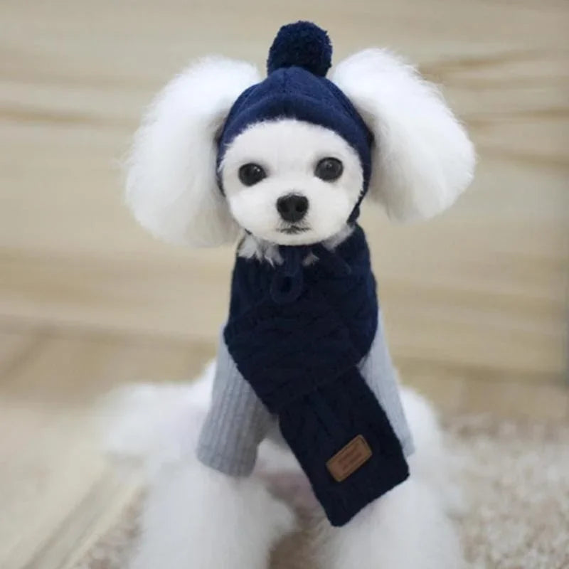 Bonnet pour chien TEDDY | chapeau chien