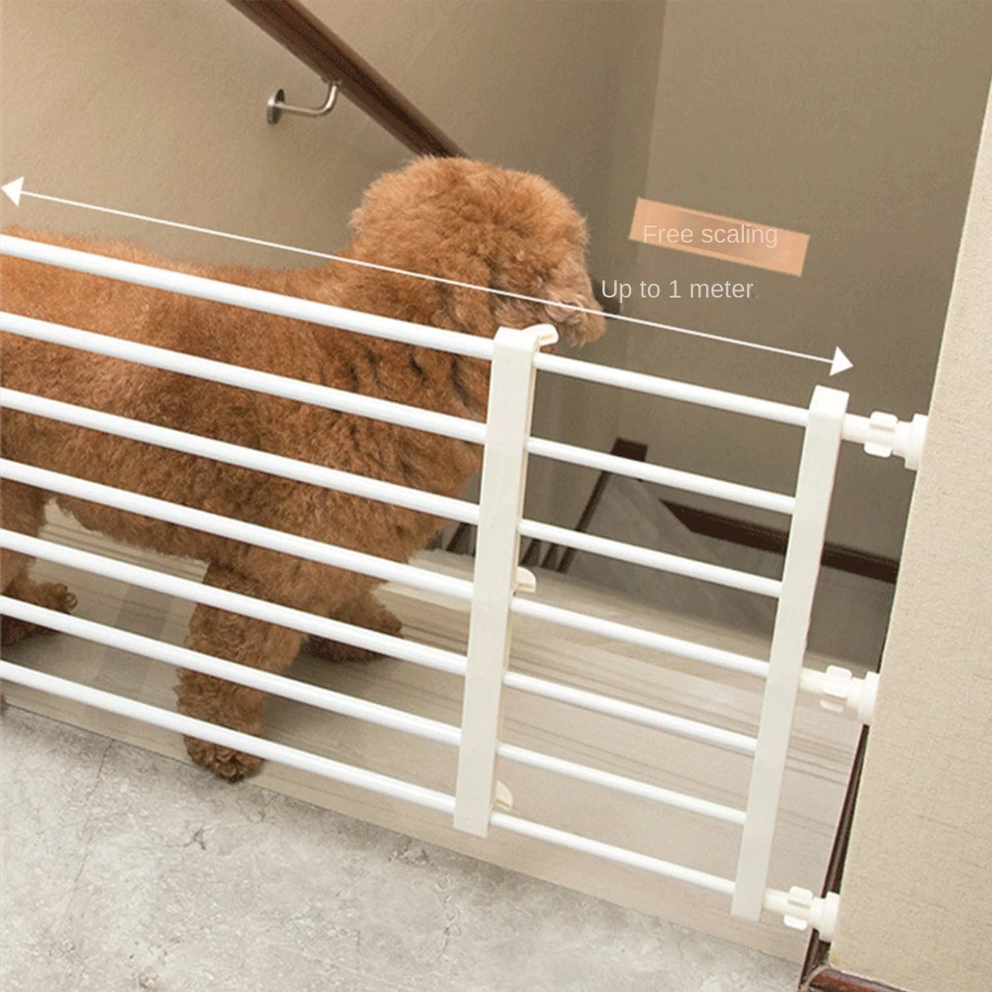 Barrière chien LEZITO™