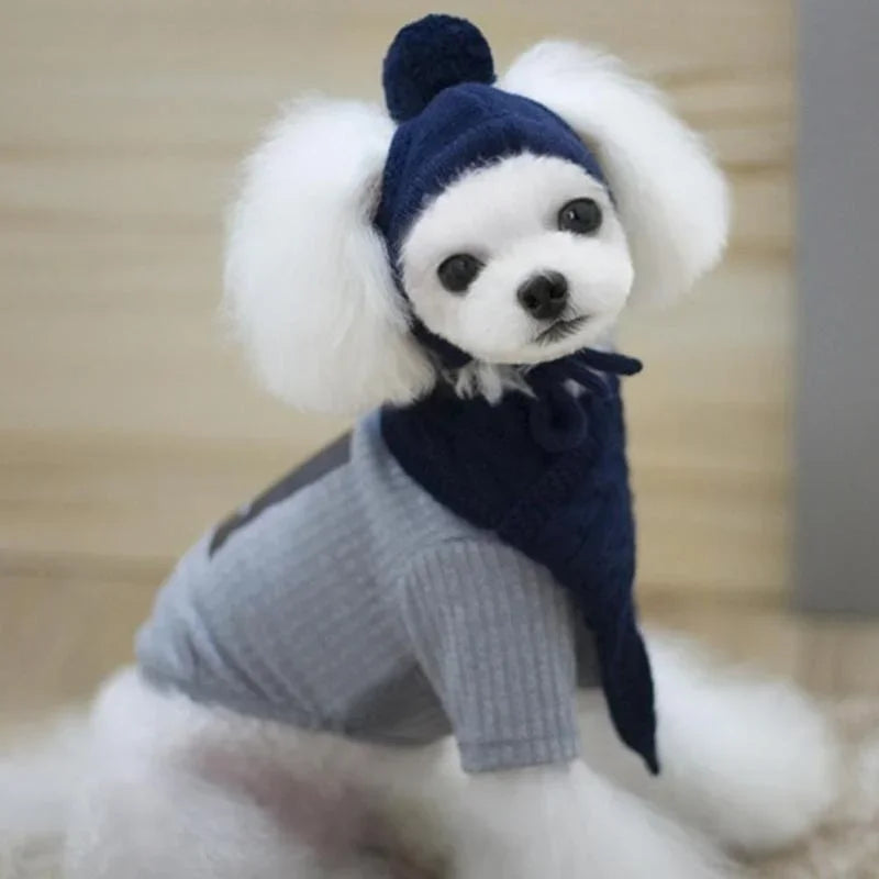 Bonnet pour chien TEDDY | chapeau chien