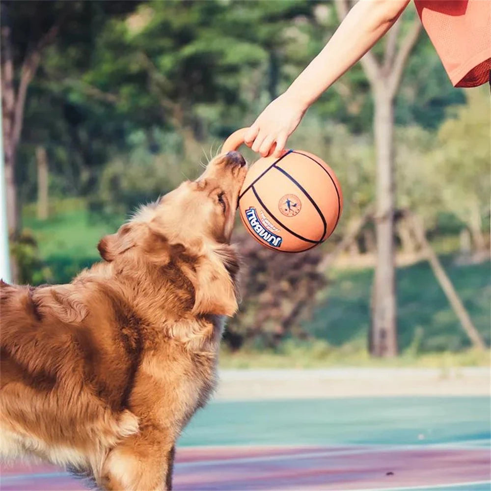 Ballon pour chien JISOSO™ | à poignée