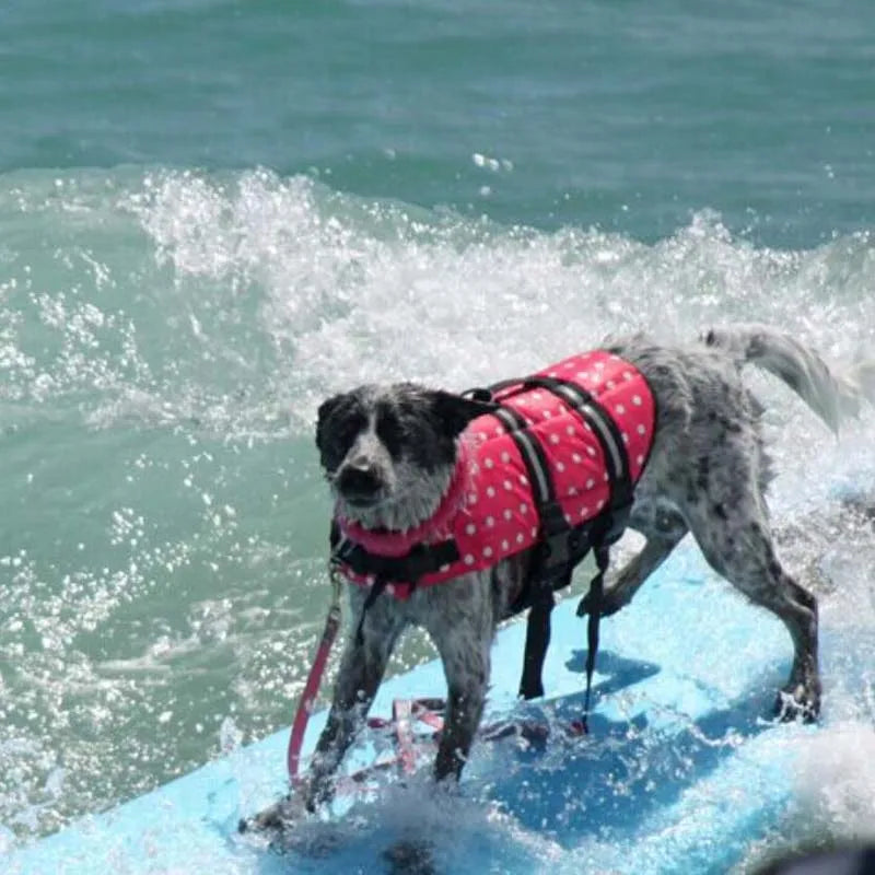 Veste de sauvetage pour chien GUERTAâą | gilet de sauvetage