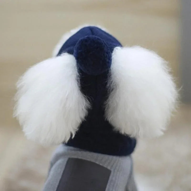 Bonnet pour chien TEDDY | chapeau chien