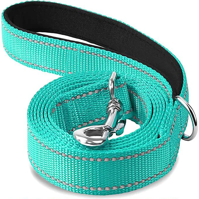 Laisse chien POCONOS™ | nylon entrainement