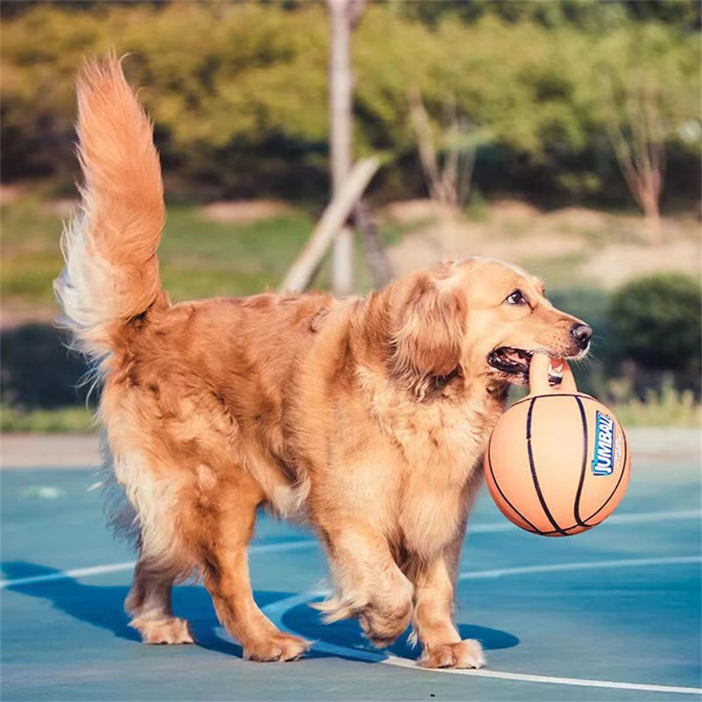 Ballon pour chien JISOSO™ | à poignée