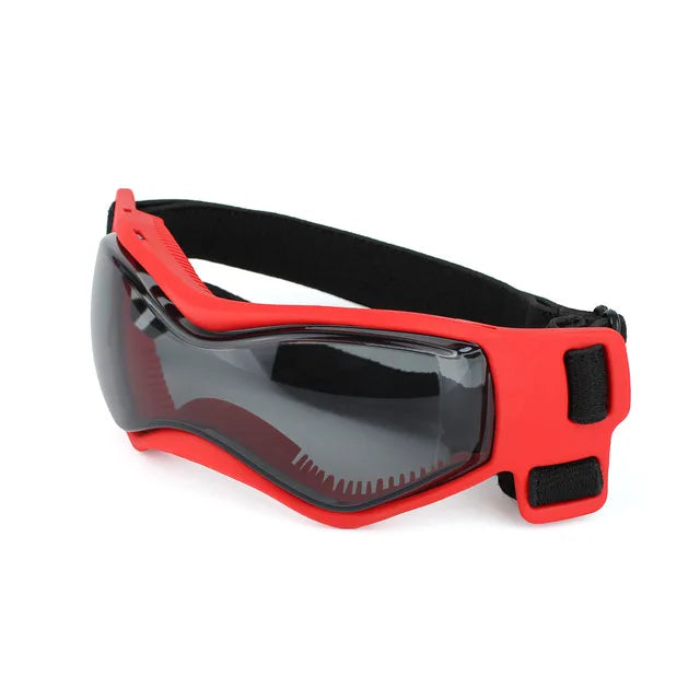 Lunettes soleil chien BENETOSâą