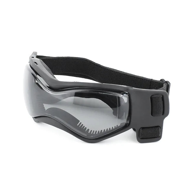 Lunettes soleil chien BENETOSâą
