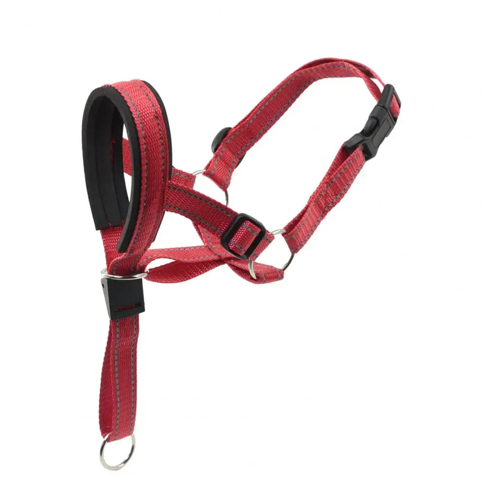 Collier dressage chien SERGAR™ | licou