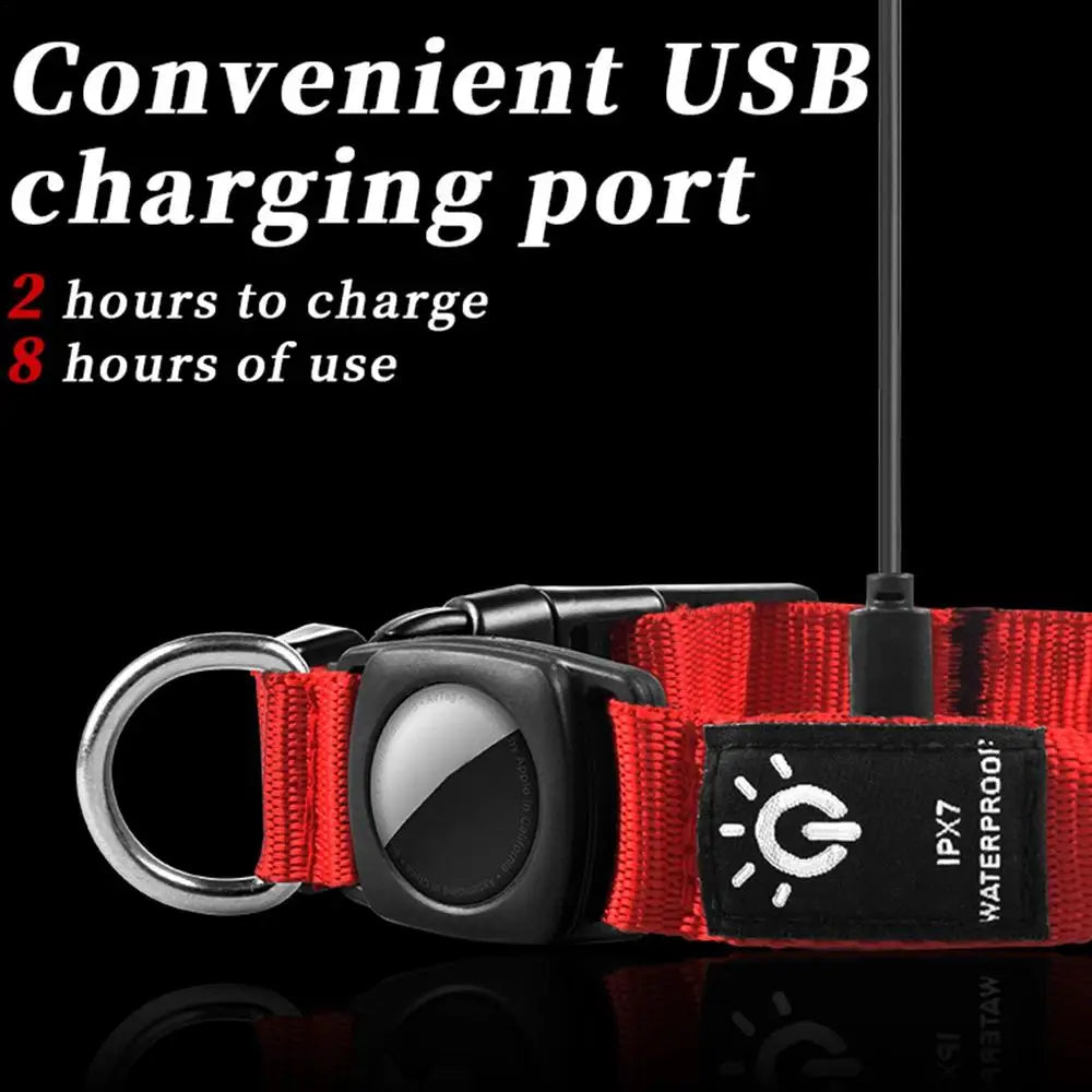 Collier lumineux chien BOLA™ | USB rechargeable Air tag