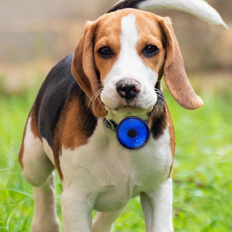 Pendentif lumineux LED pour chien SERGAR™